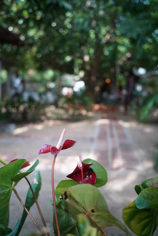 Salty Garden Arugambay Bed & Breakfast Arugam Bay Luaran gambar